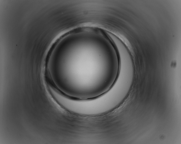 X0000101450992200807071401