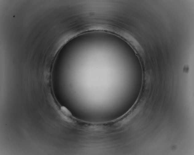 X0000101450993200807071401