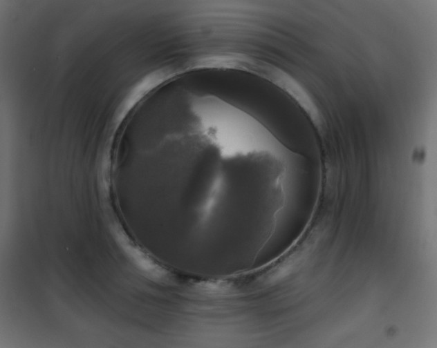 X0000101450994200807071401