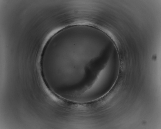 X0000101450995200807071401