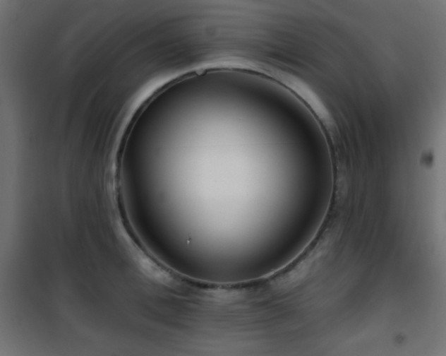X0000101450996200807071401