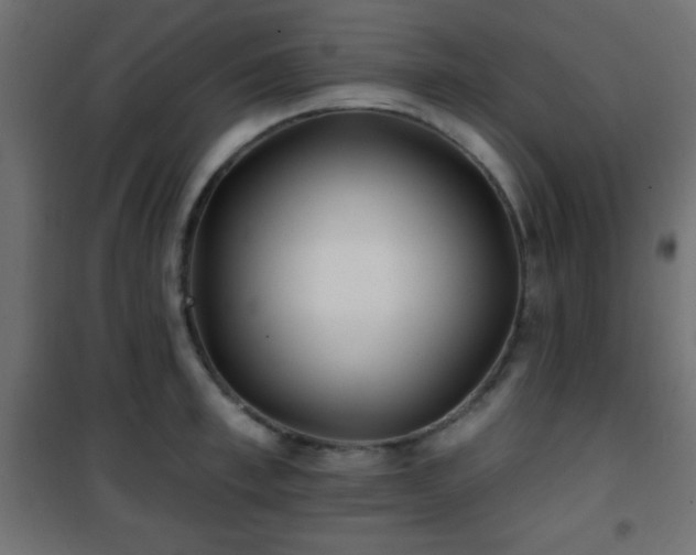 X0000101450997200807071401