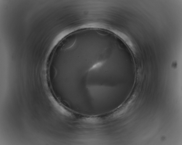 X0000101450998200807071401