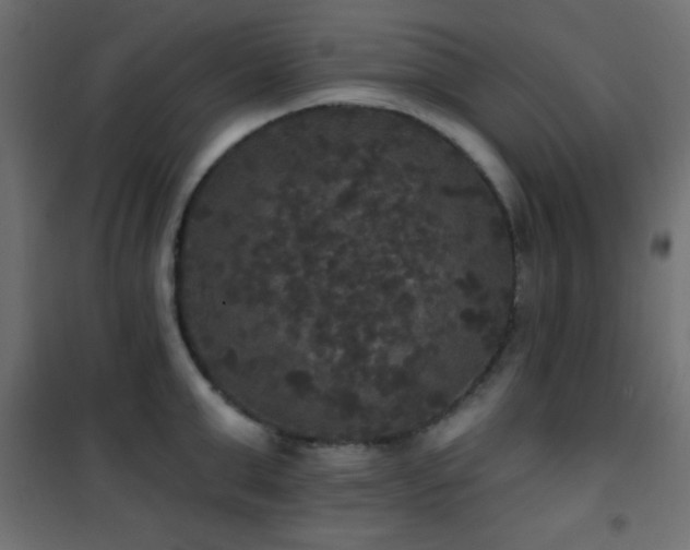 X0000101450999200807071401