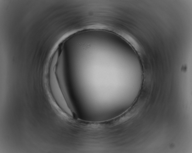 X0000101451000200807071401