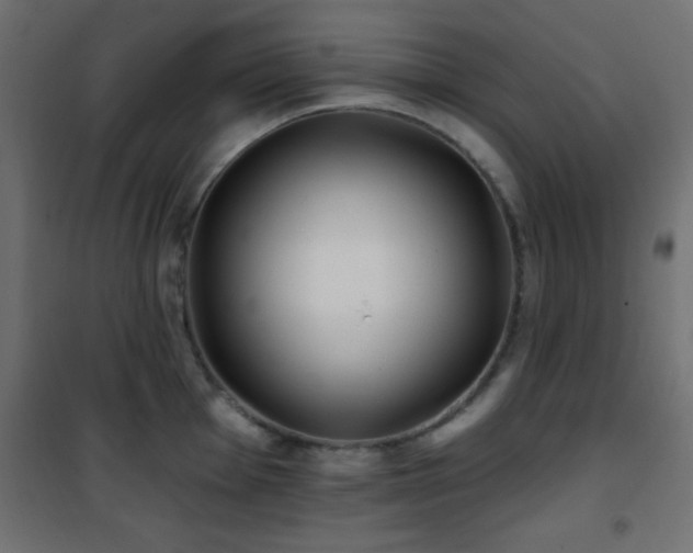 X0000101451001200807071401