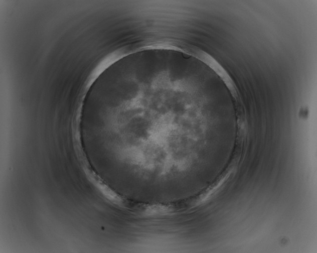 X0000101451002200807071401