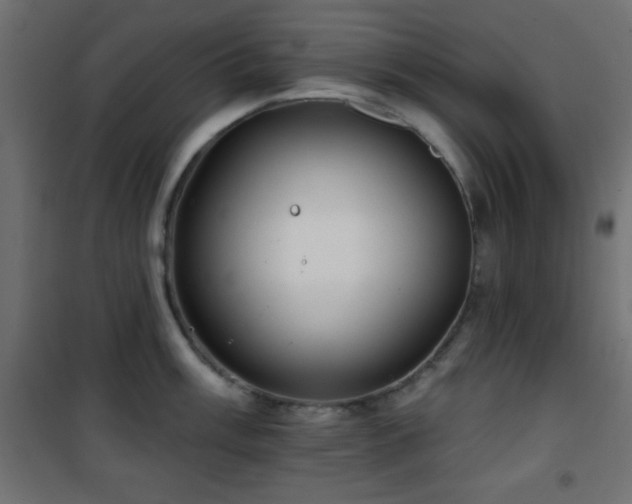 X0000101451003200807071401