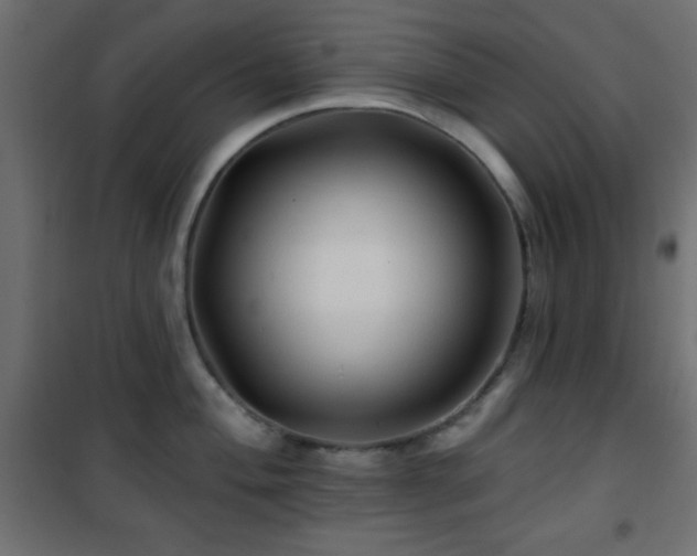 X0000101451004200807071401
