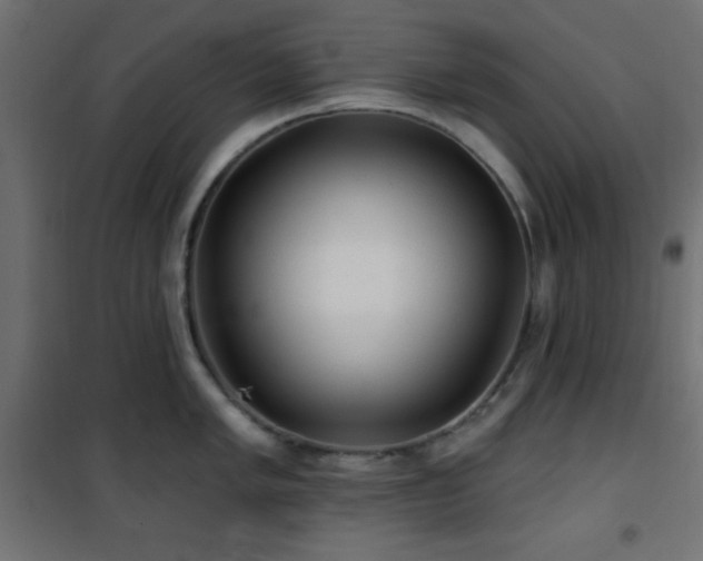 X0000101451005200807071401