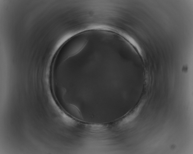 X0000101451007200807071401