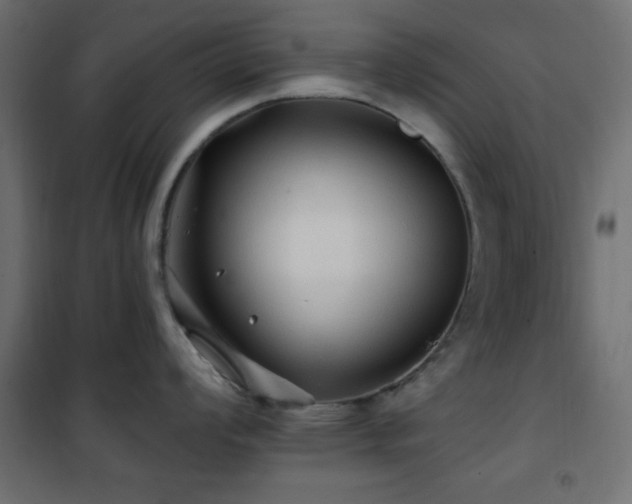 X0000101451008200807071401