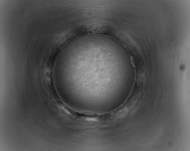 X0000101451010200807071400