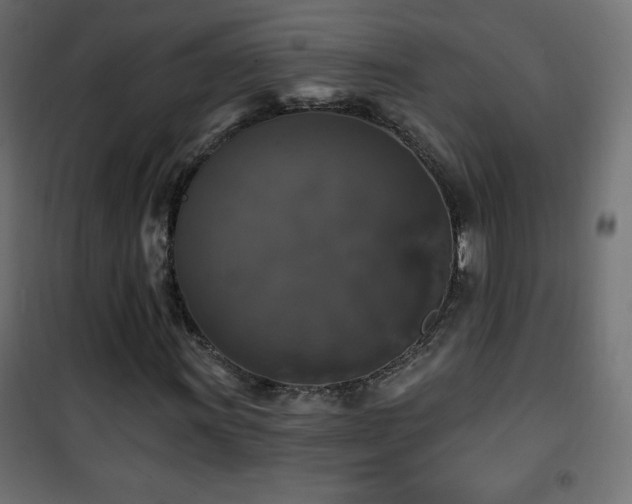 X0000101451011200807071400