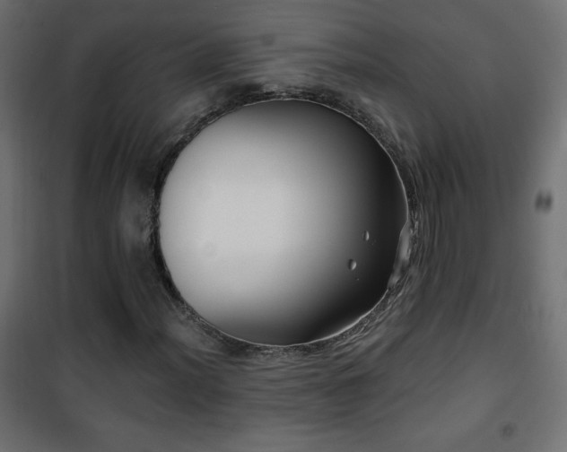 X0000101451012200807071400