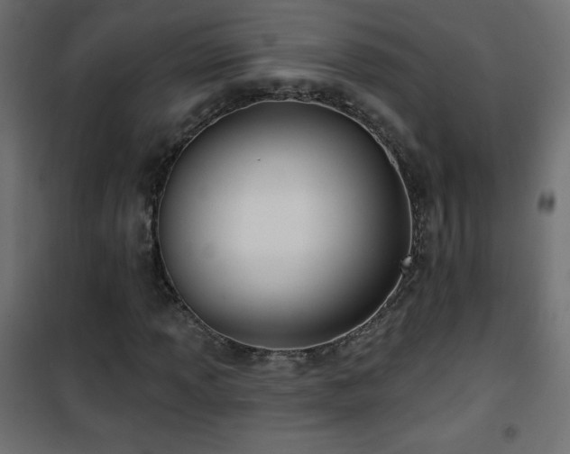 X0000101451013200807071400