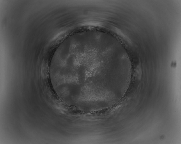 X0000101451014200807071400
