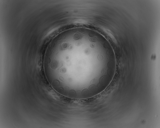 X0000101451015200807071400
