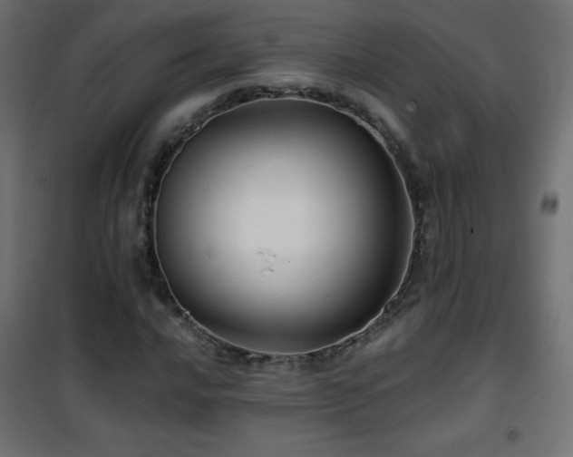 X0000101451016200807071400