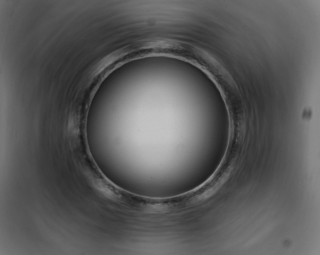 X0000101451017200807071400
