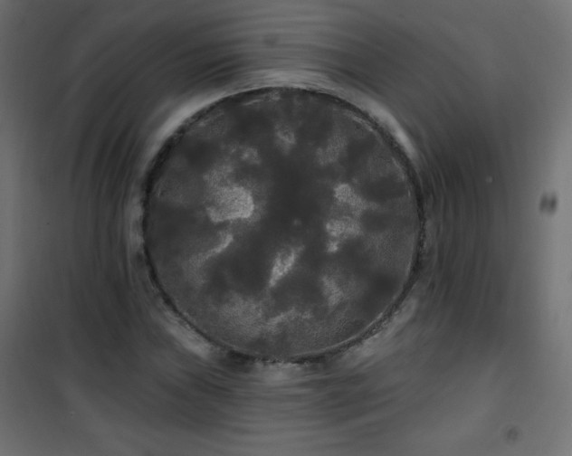 X0000101451019200807071400