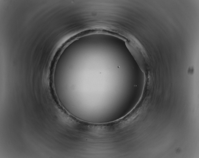 X0000101451020200807071400