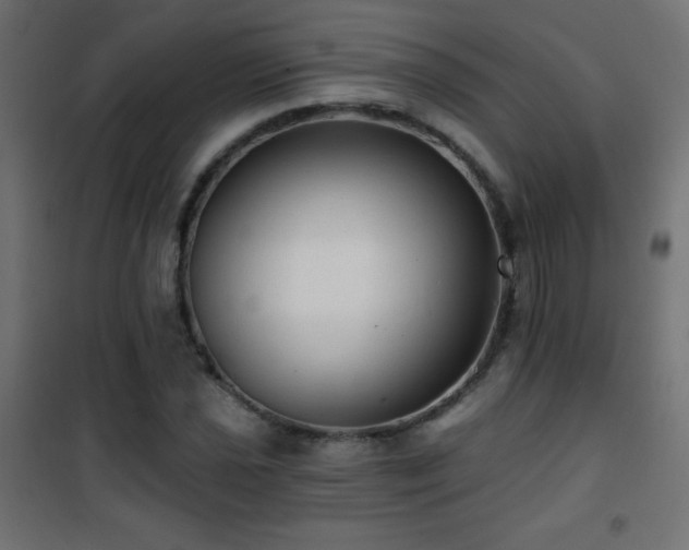 X0000101451021200807071400
