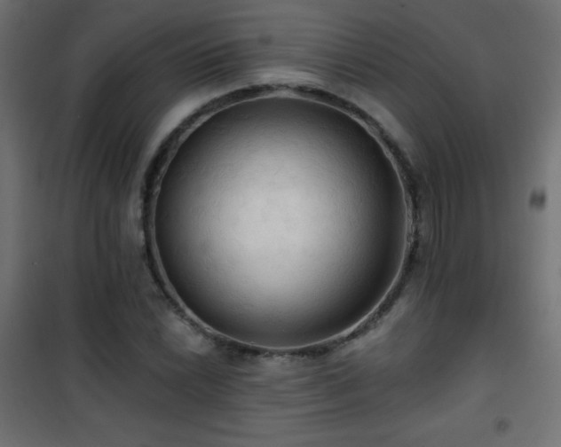 X0000101451022200807071400