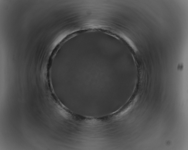 X0000101451023200807071400