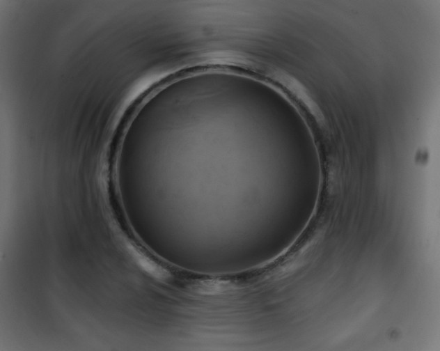 X0000101451024200807071400
