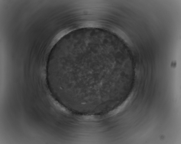 X0000101451025200807071400