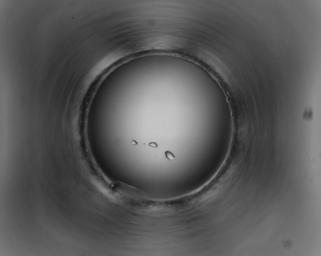 X0000101451026200807071400