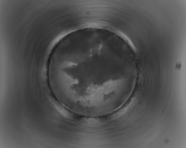 X0000101451027200807071400