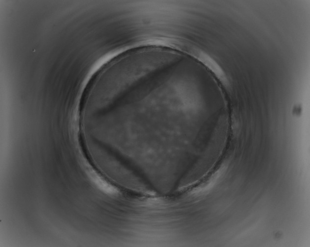 X0000101451028200807071400