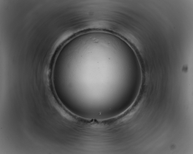 X0000101451029200807071400