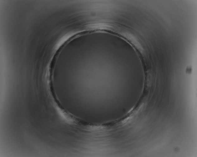 X0000101451031200807071400