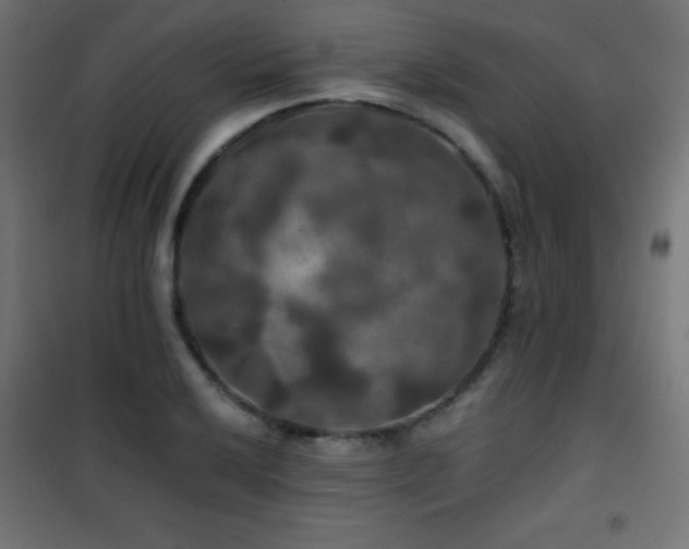 X0000101451032200807071400