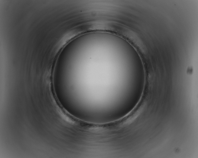 X0000101451033200807071400