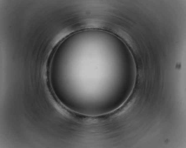 X0000101451034200807071400