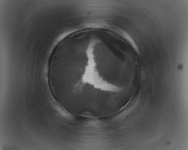 X0000101451035200807071400