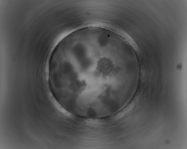 X0000101451036200807071401