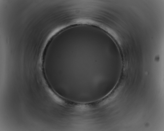 X0000101451037200807071401