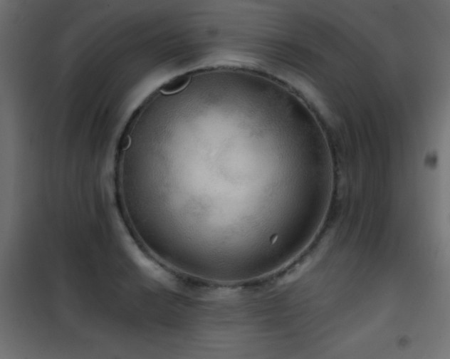 X0000101451038200807071401