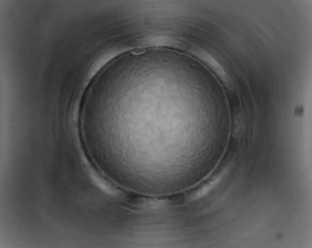 X0000101451039200807071401