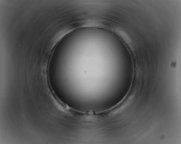X0000101451041200807071401