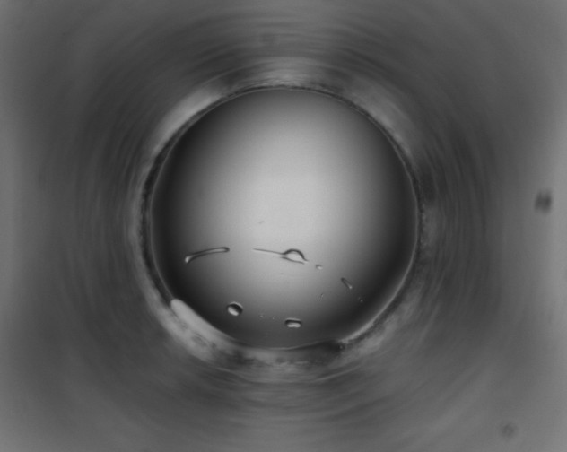 X0000101451042200807071401