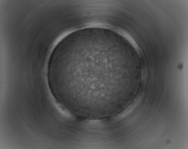 X0000101451043200807071401
