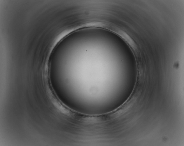 X0000101451044200807071401