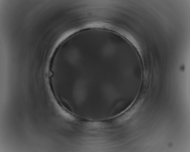 X0000101451045200807071401