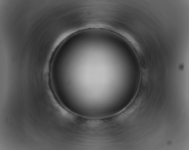 X0000101451046200807071401